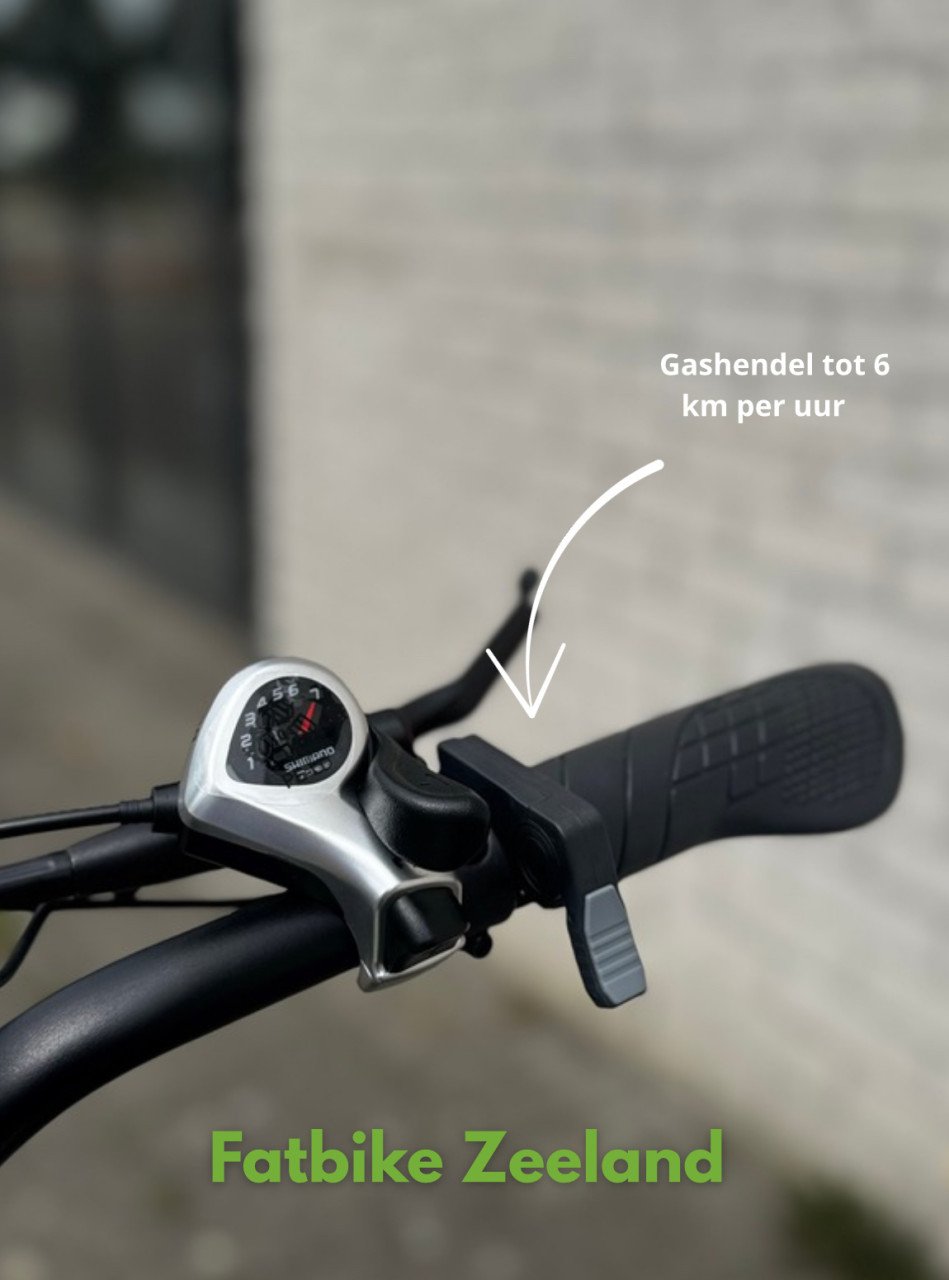 Fatbike OUXI C80