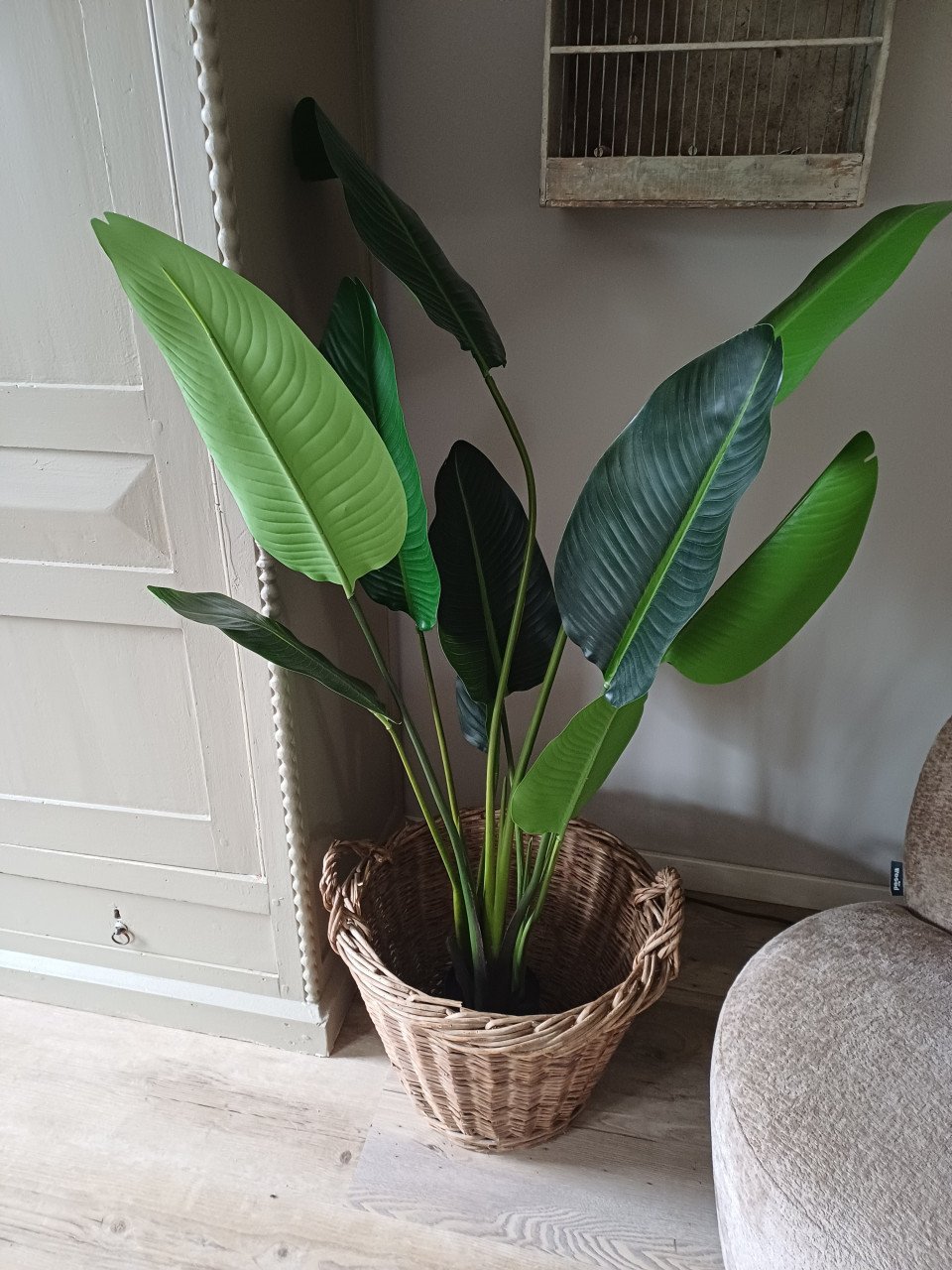 Kunst Strelitzia