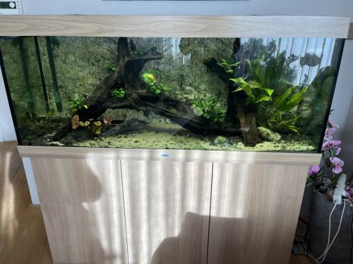 Juwel Aquarium 400 liter
