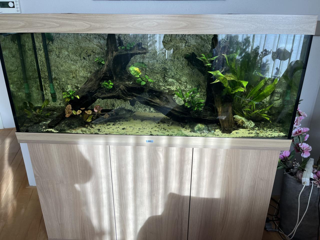 Juwel Aquarium 400 liter