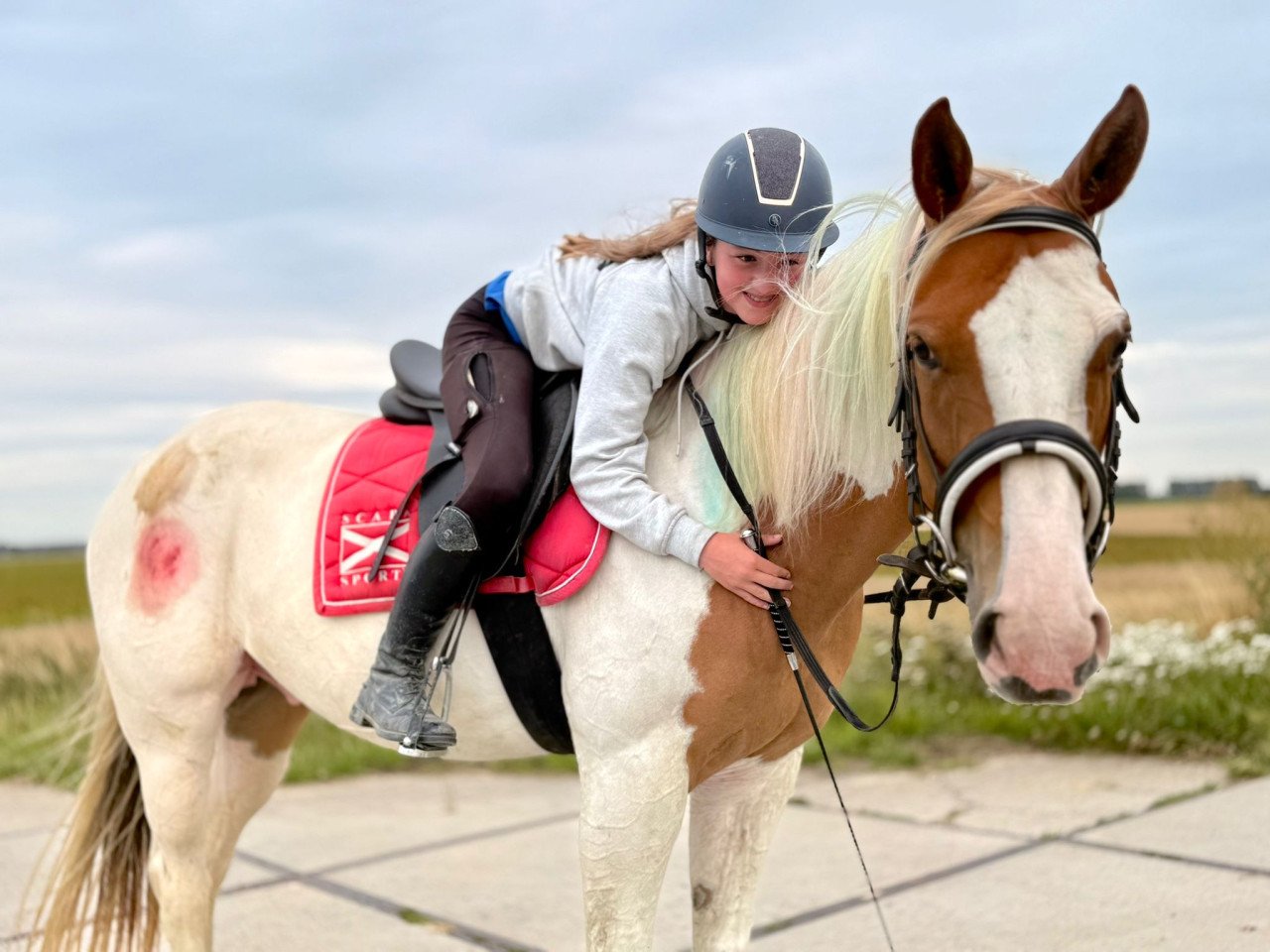 Lieve bonte pony