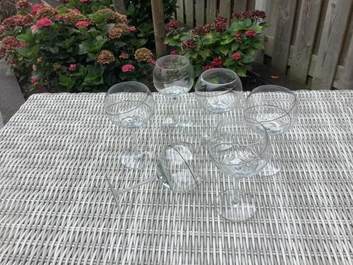 Design Wijnglazen - 6 stuks