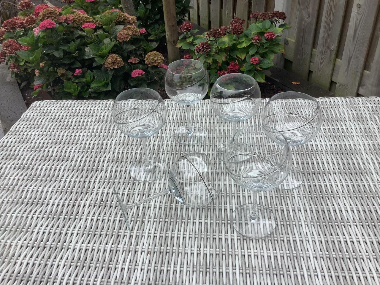 Design Wijnglazen - 6 stuks