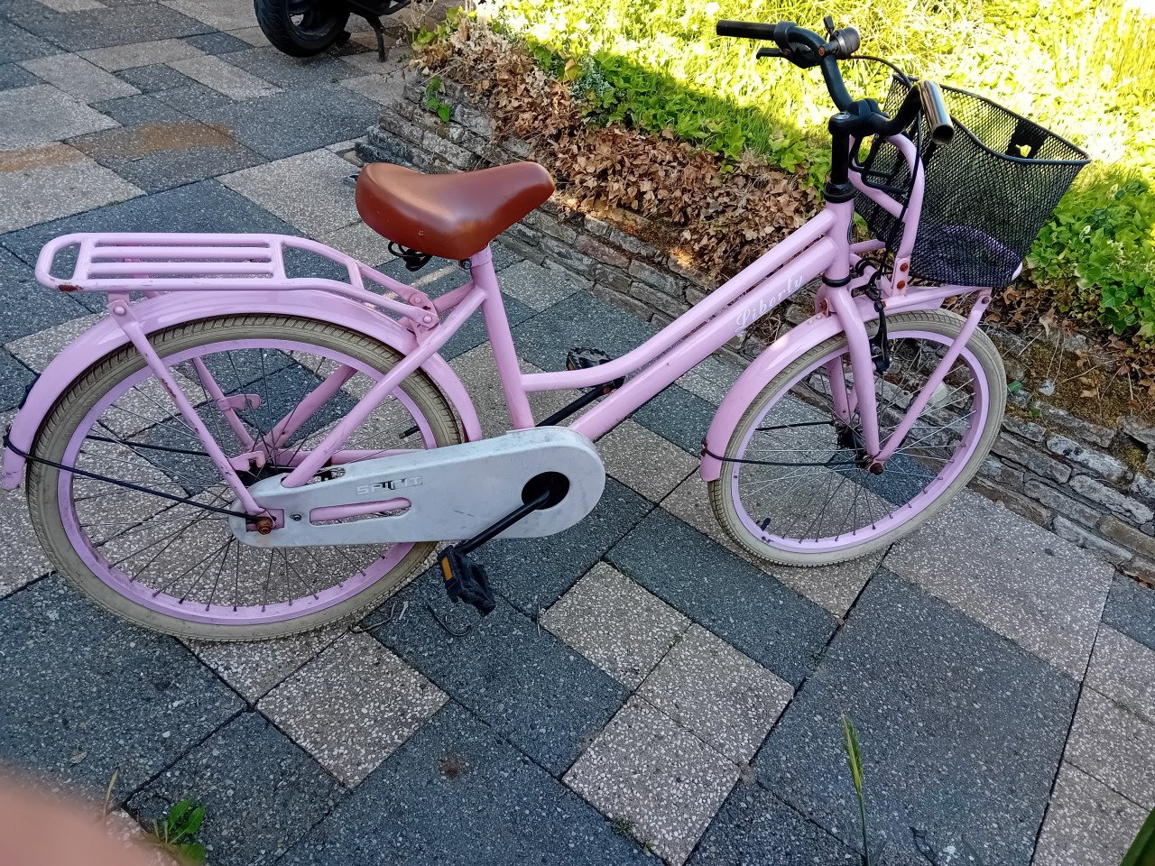 Meisjes Fiets