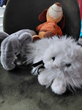 Knuffels