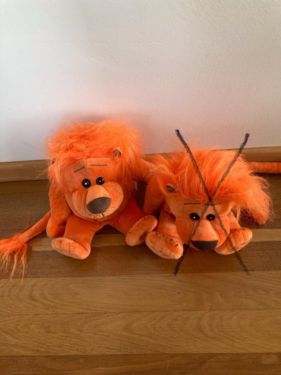 Nieuwe spaarpotleeuw