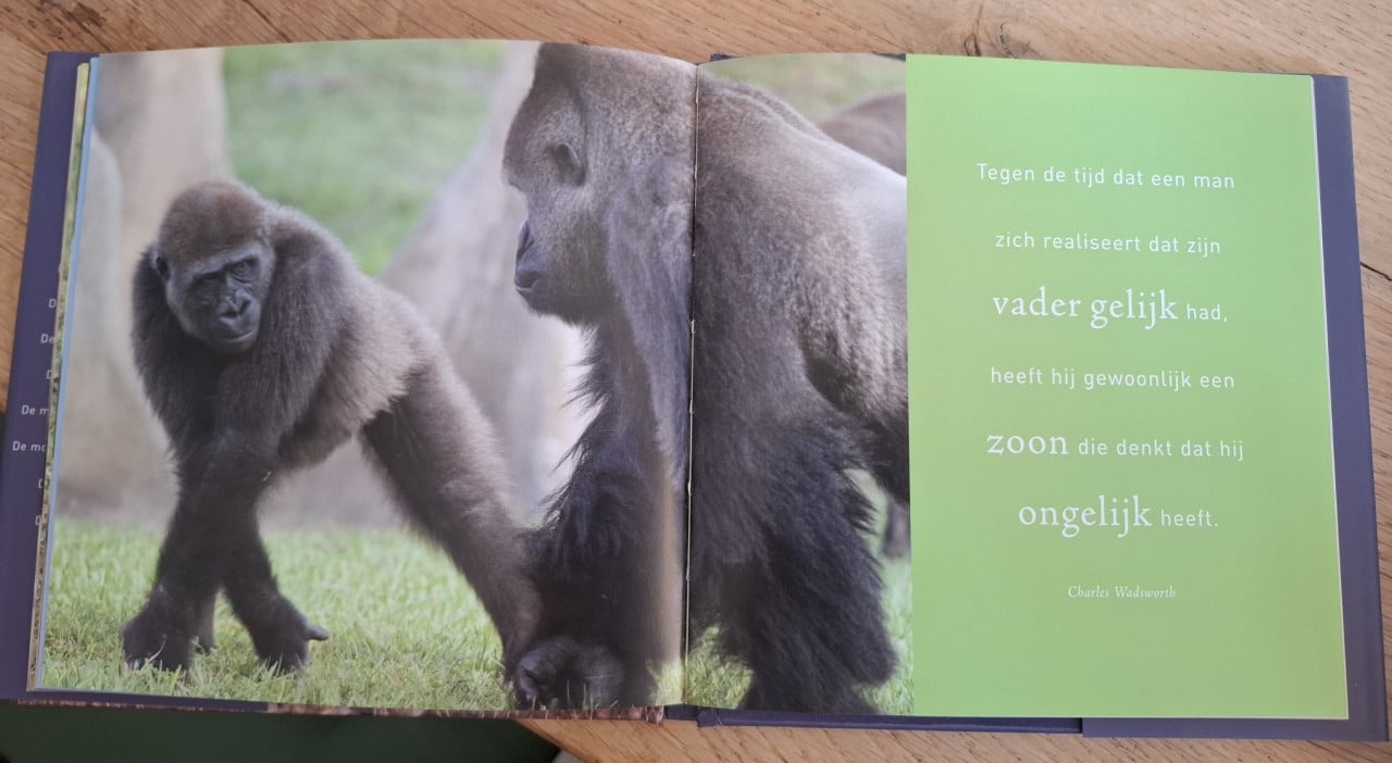 De mooiste uitspraken over vaders, verzameld door Gerd de Ley