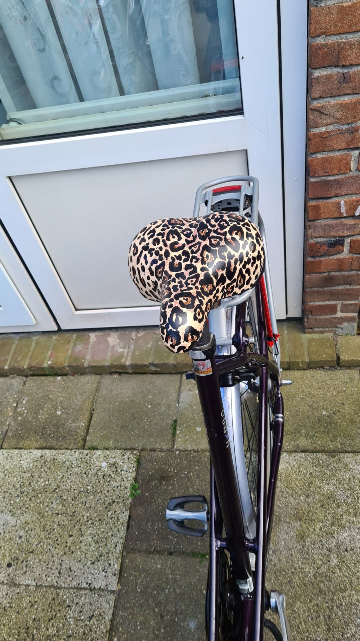 Dames fiets BATAVUS met 6 versnellingen-28 inch- Fr.maat 57 inch