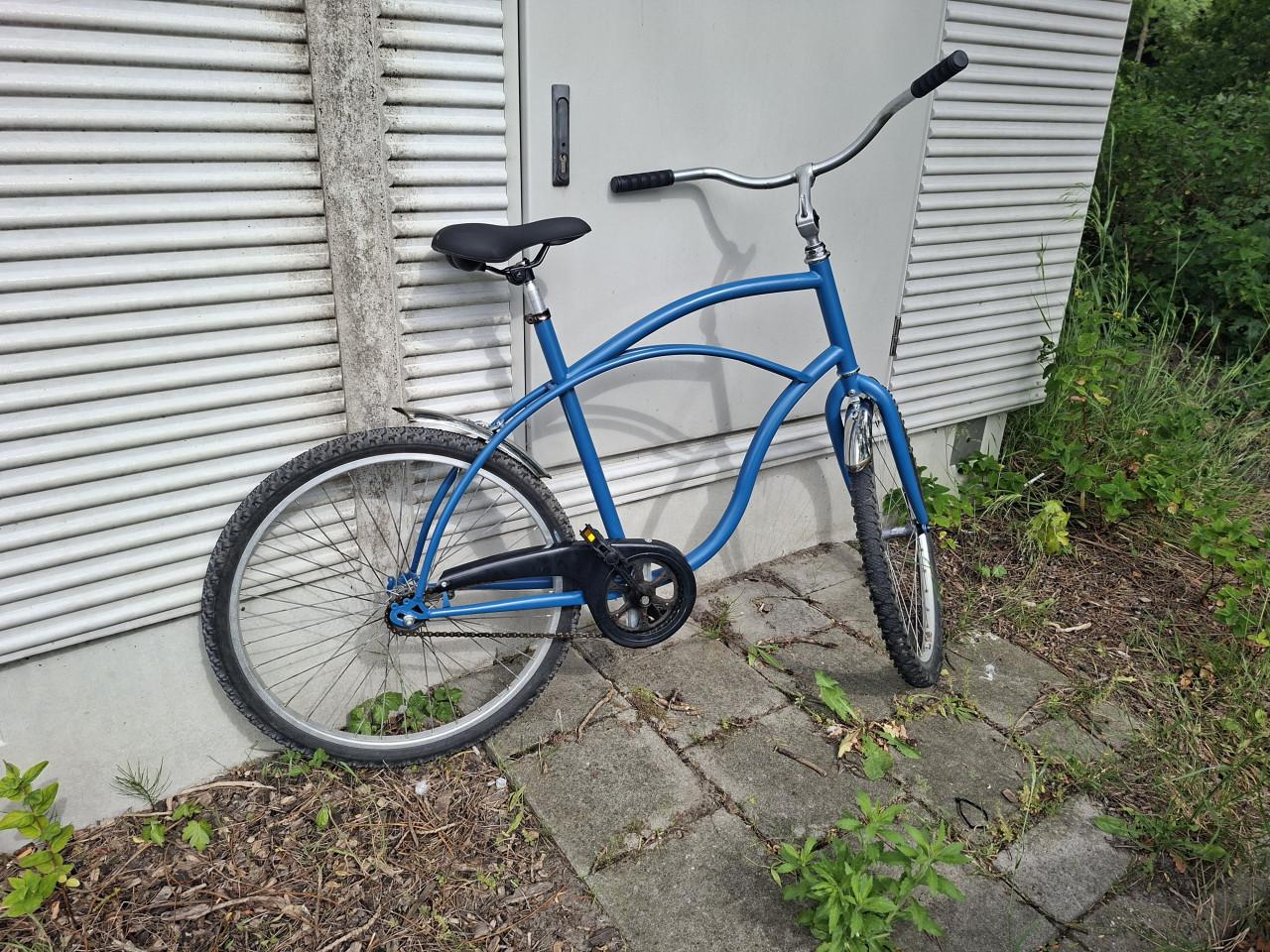 Diverse fietsen mtb, vintage opa fiets , beachcruiser en singlespeeds