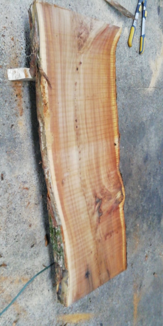 Boomstamtafels Tafelbladen Planken Bartafels keuken Salontafel wandplanken