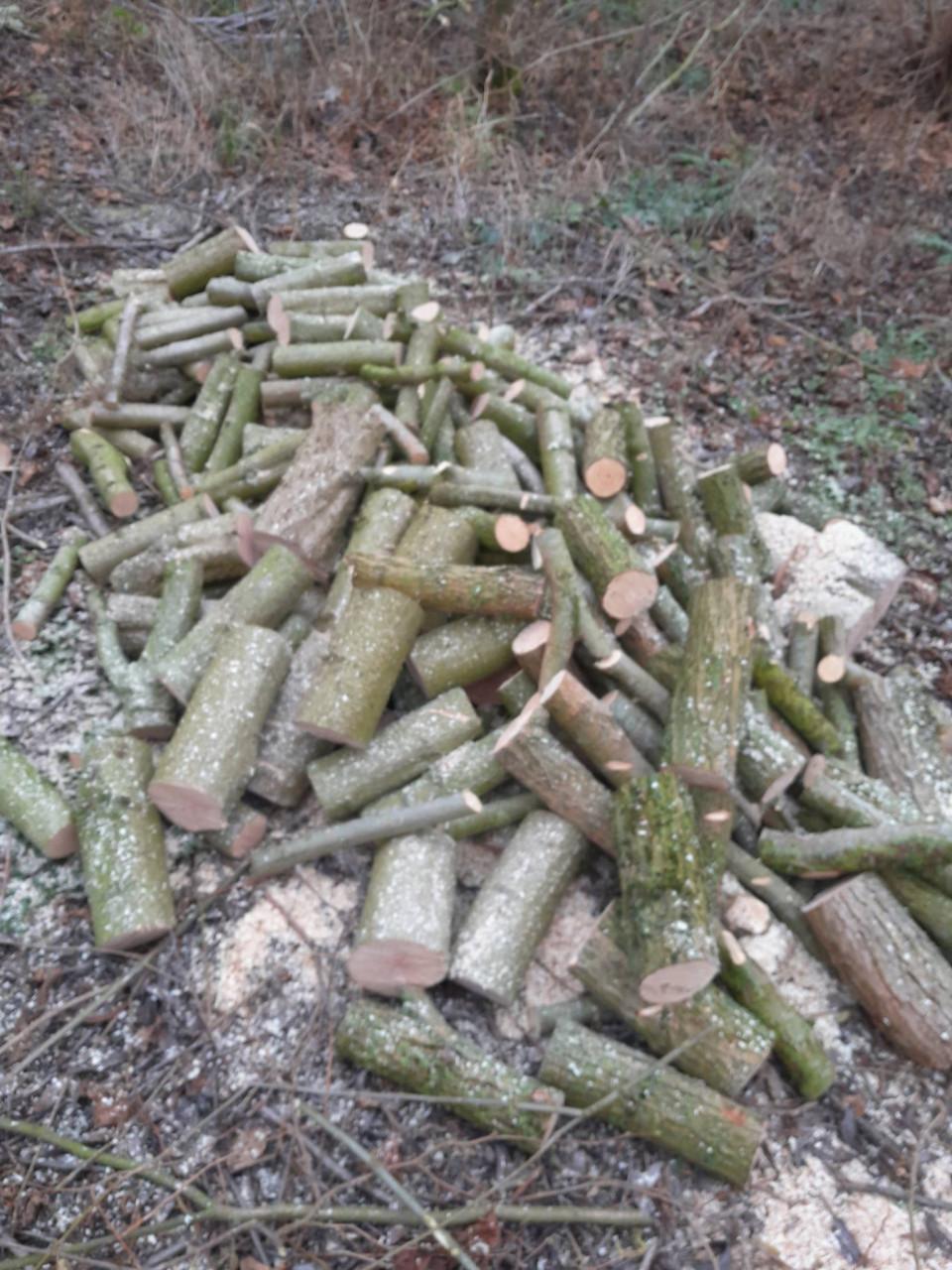 Brandhout diverse soorten. VERS GEZAAGD.