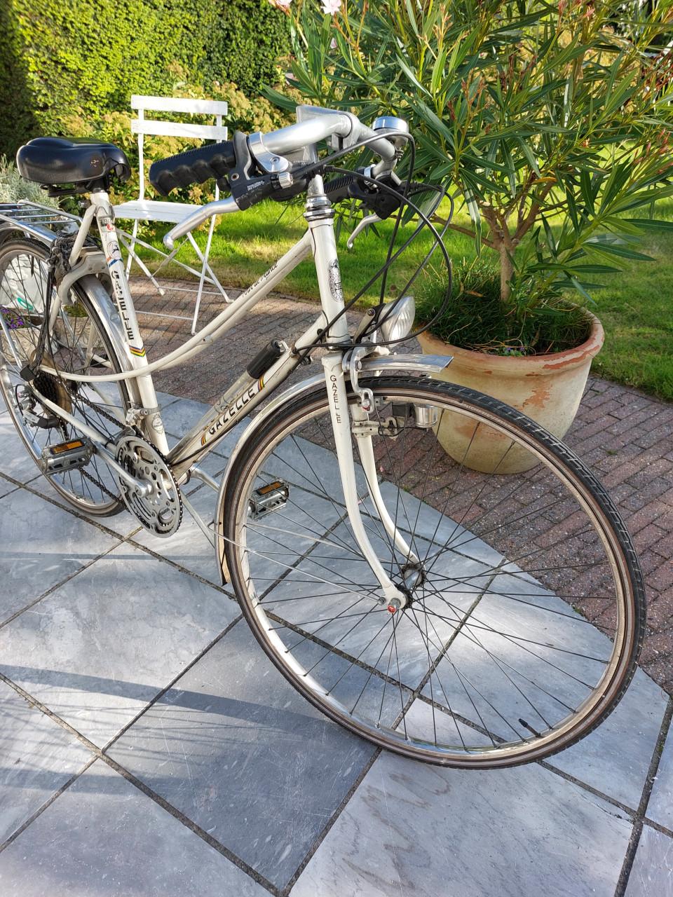 Electrische sportfiets en gratis fiets  mee te nemen.