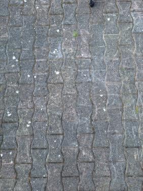 Gratis afhalen ca. 35m2 bestrating