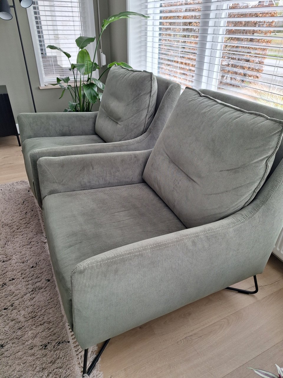 Prachtige groengrijze ribstof fauteuils van het merk Bellus