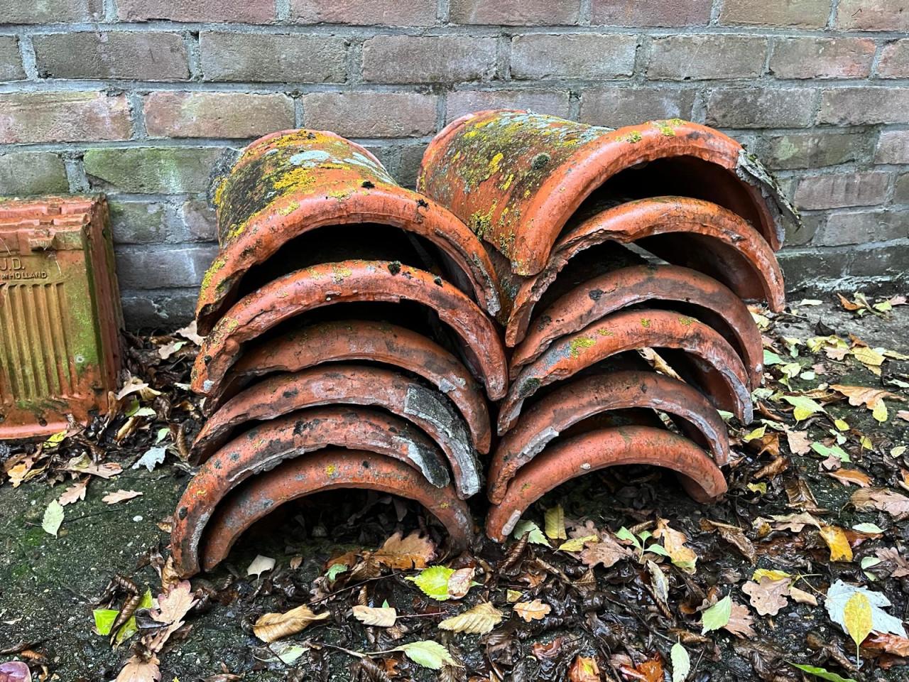 Nokvorsten (diverse types)