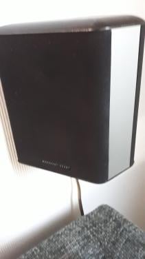 Morduant Speakers