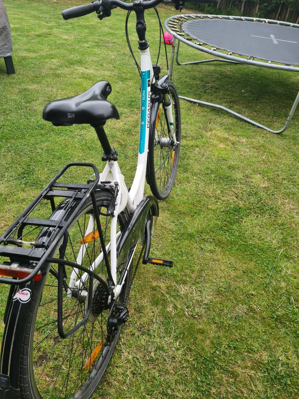 Dames fiets Pegasus