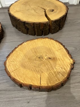 Boomstamschijf 34 cm 2 stuks