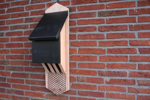Vleermuizenkast