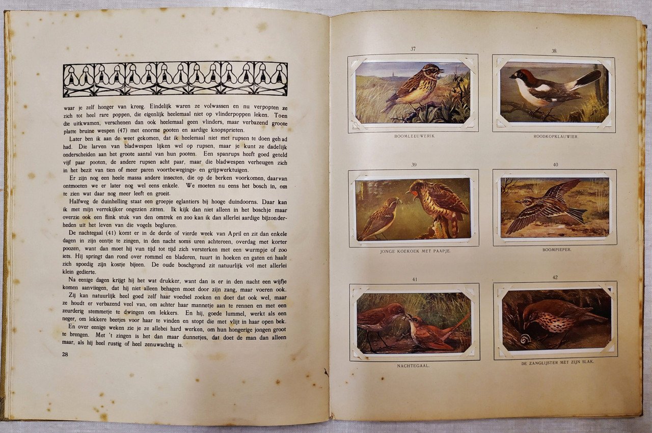 Te koop; boek Jac.P.Thijsse  Eik en beuk  en blonde duinen natuur vintage