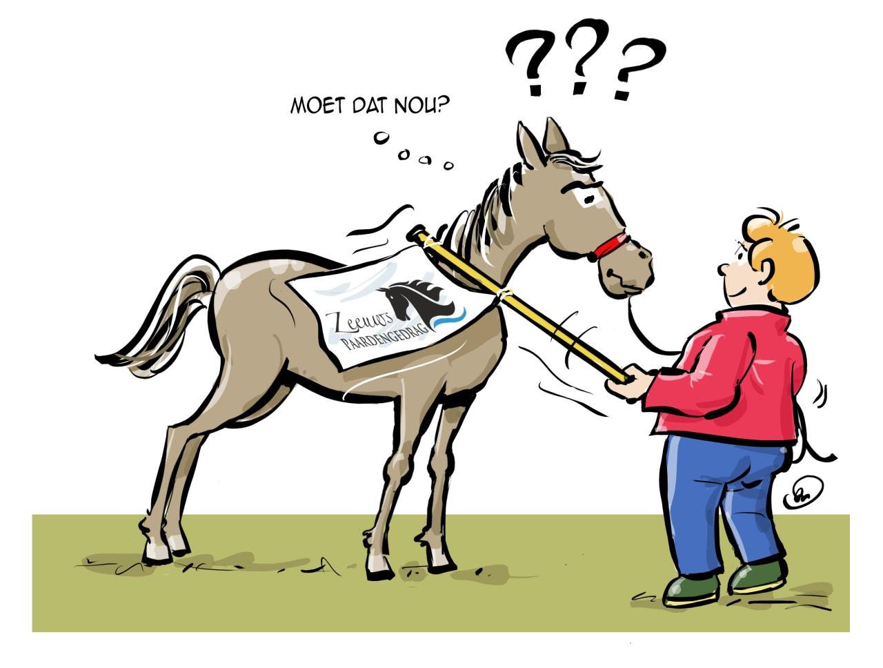 Illustratie of cartoon gezocht?