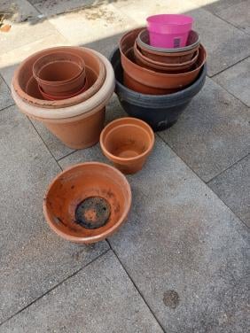 Planten potjes