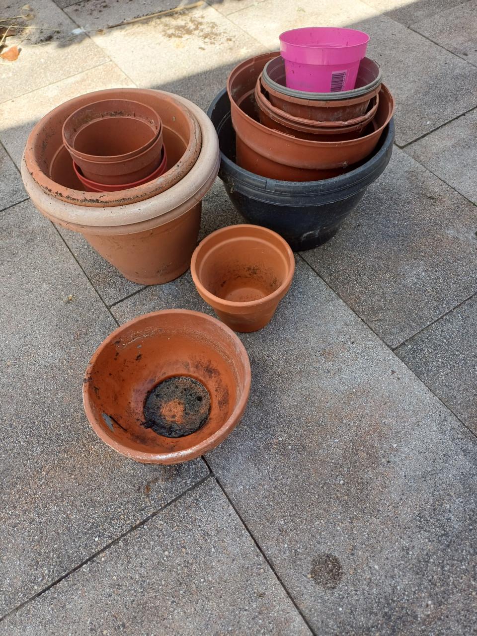 Planten potjes