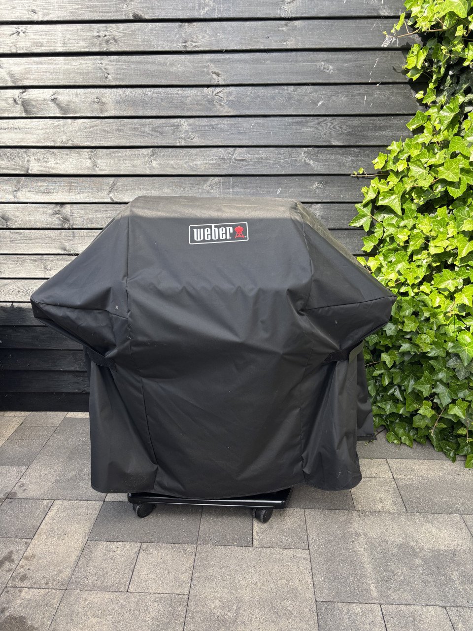 Weber Bbq