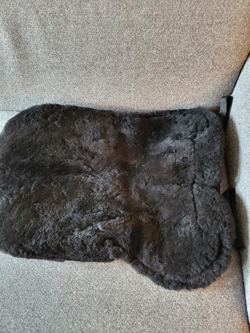 Bearpack
