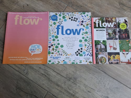 3x Flow