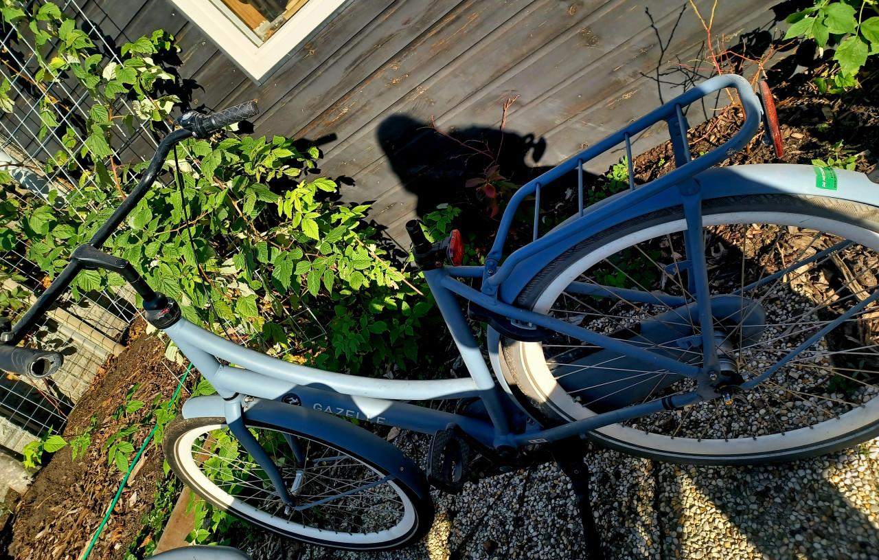Damesfiets Gazelle