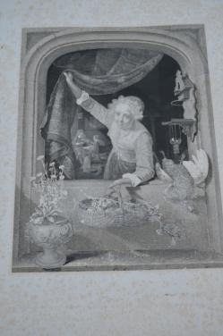 9 Staalgravures 19e eeuws Stadia van een schilderij van Gerard Dou