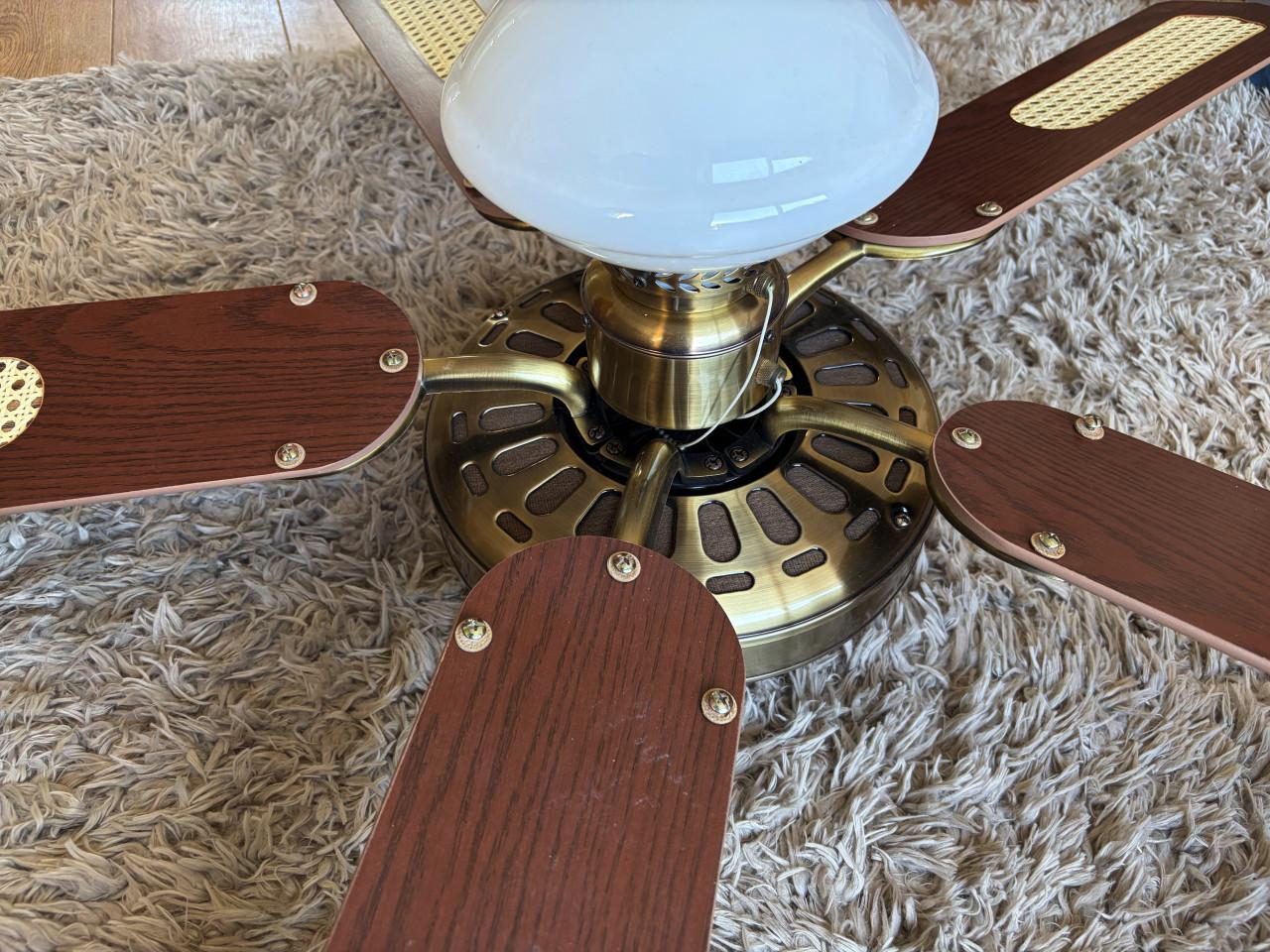Plafondventilator met licht en webbing bladen zgan