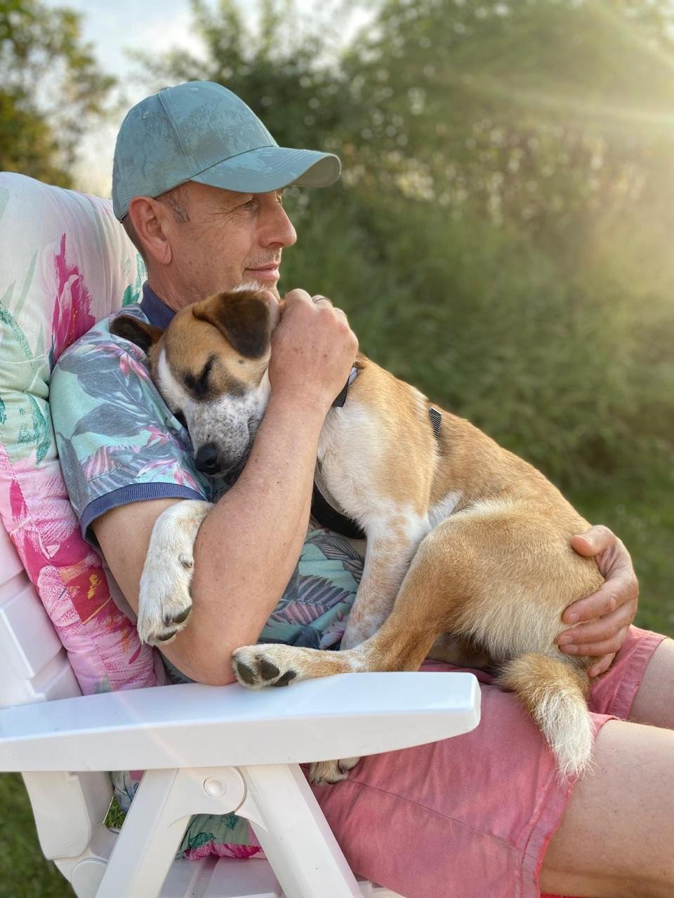 Hond zoekt baasje