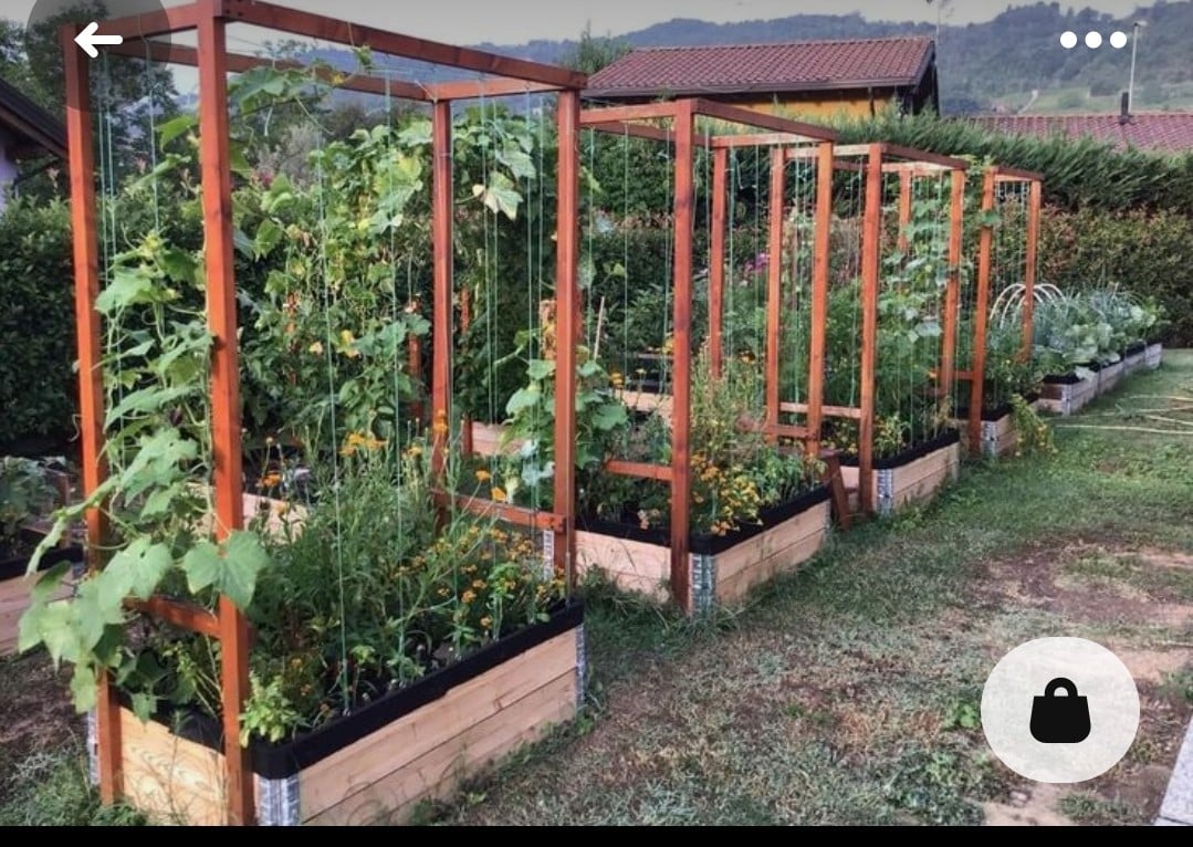Pallet randen, palletranden, moestuin bakken.