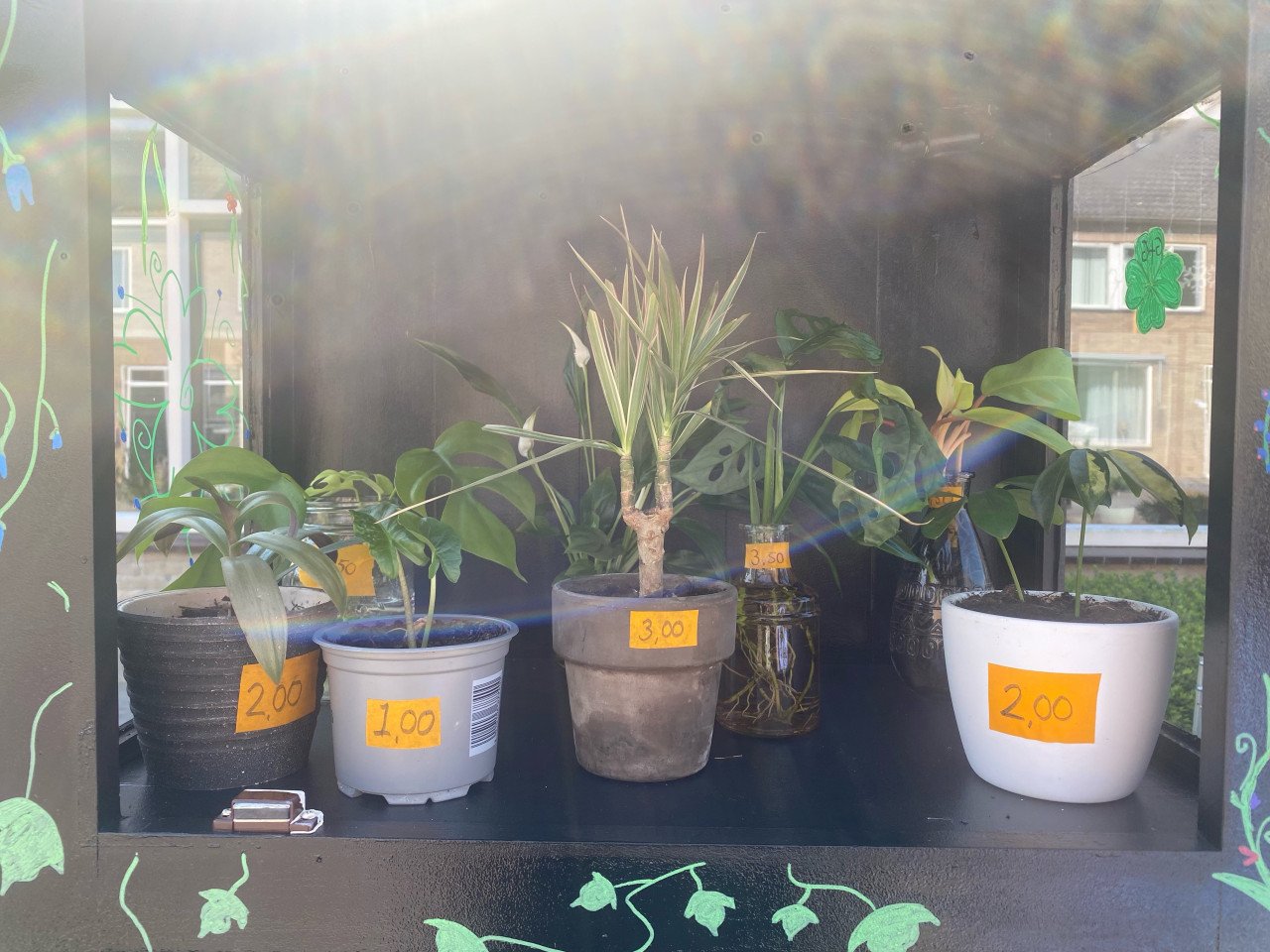 Planten en Stekjes
