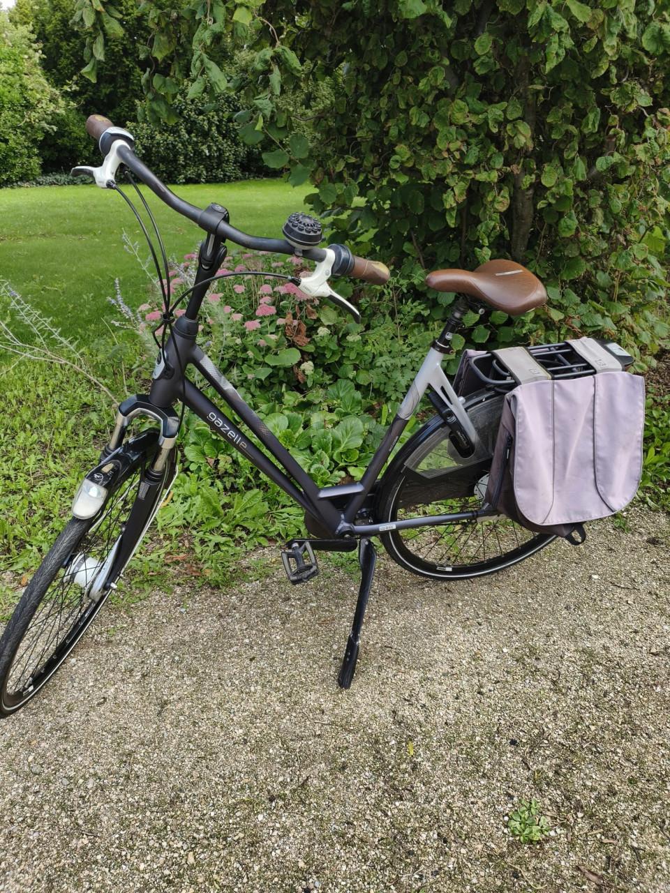 Gazelle Eclipse Limited Edition 8V – 57 cm