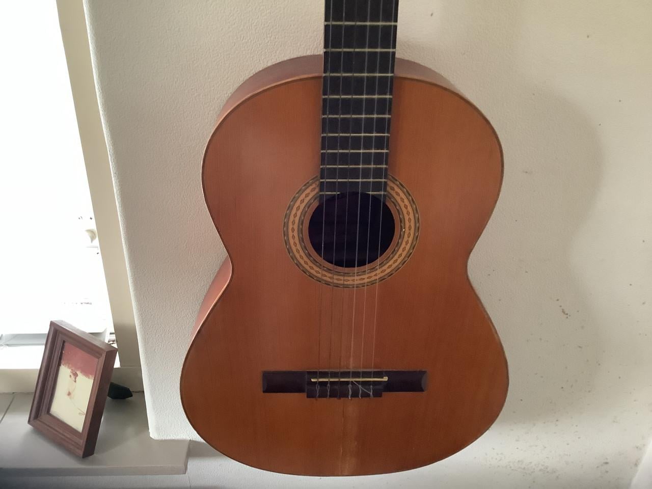 Guitar