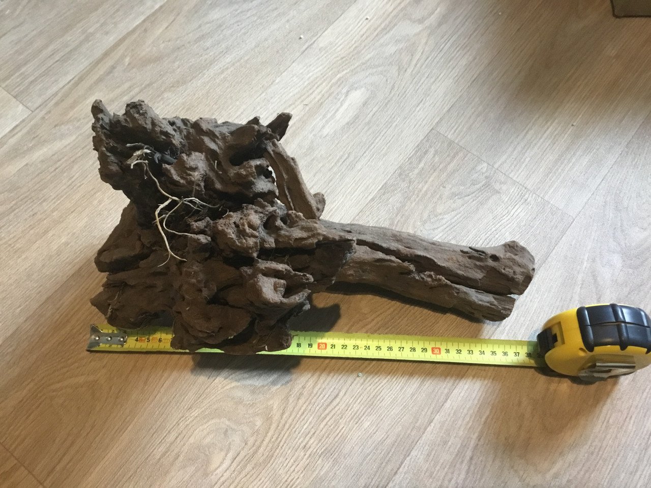 Mangrove hout voor aquarium