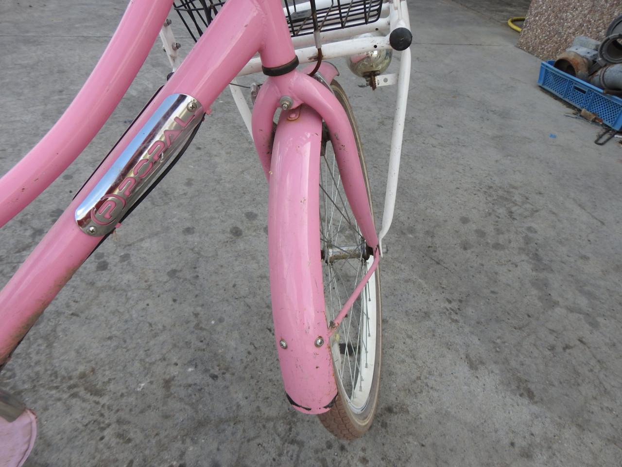 Meiden fiets