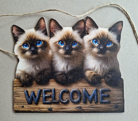 Poesjes Welcome Houten Decoratiebord