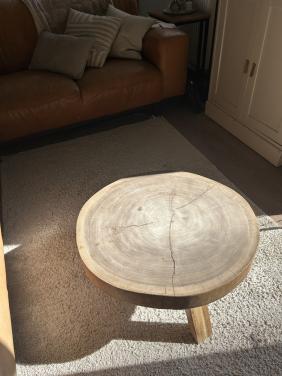 Salontafel rond boomstam