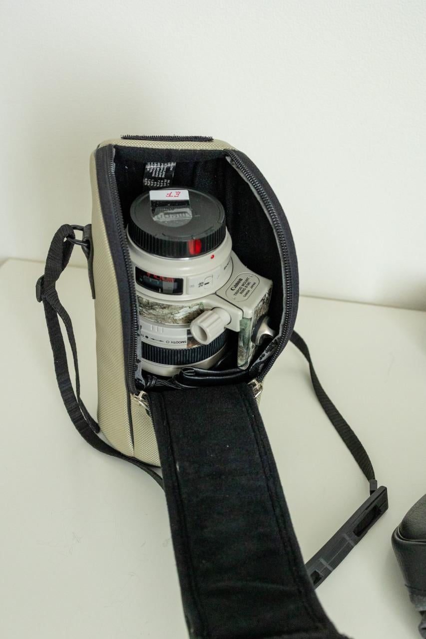 Canon objectiEF 35-350 mm