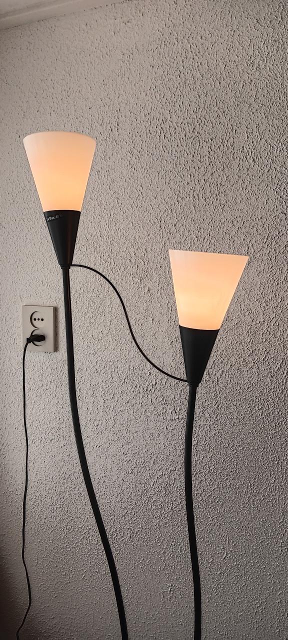 2 MOOIE STAANDE LAMPEN