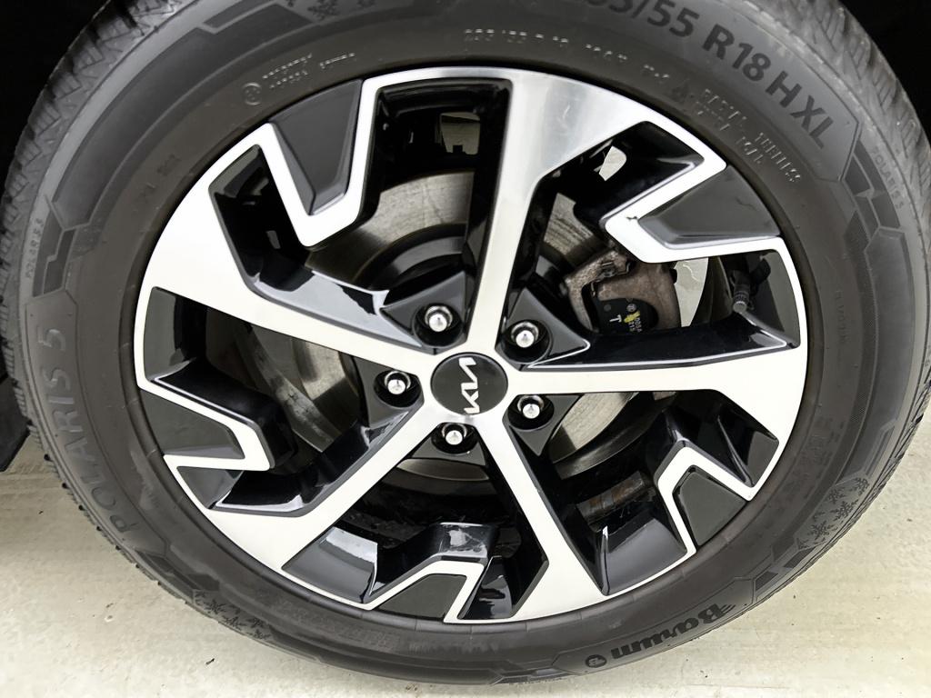 Kia Sportage 1.6 t-gdi hybrid dynamicline | camera | apple carplay/android 