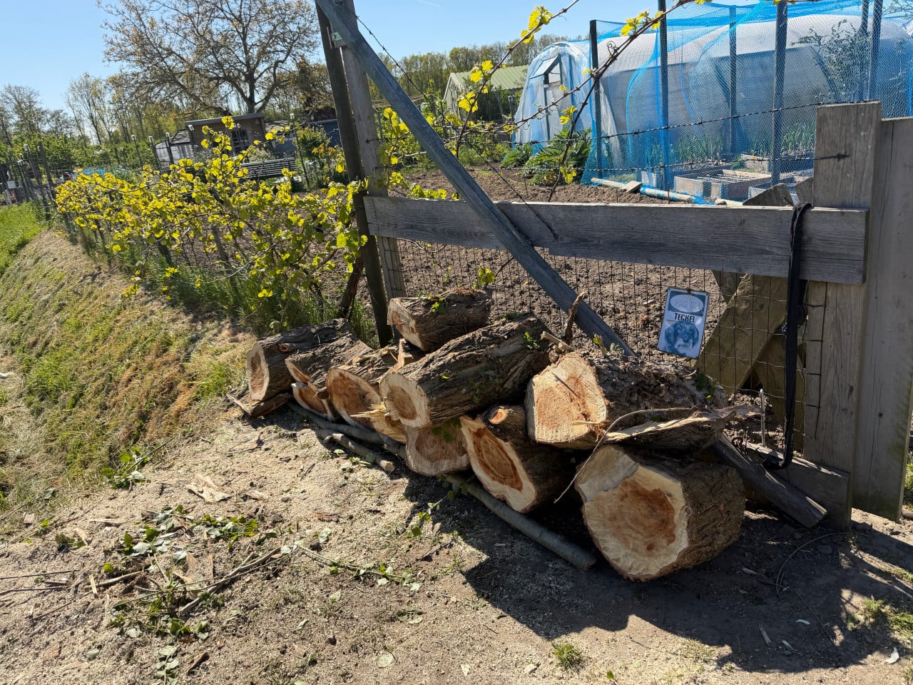 Haardhout ongeveer 1 kuub