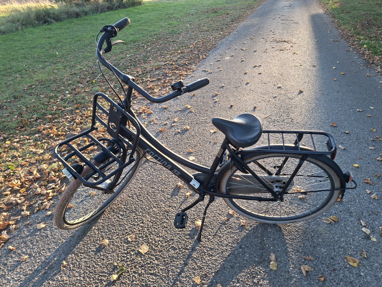 Cortina T4 meisjesfiets