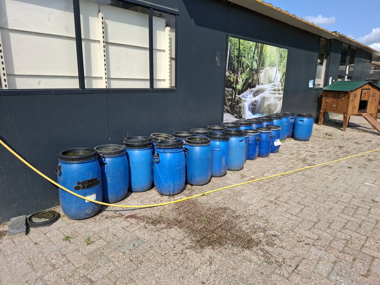 Gebruikte blauwe voertonnen, inhoud 60 liter