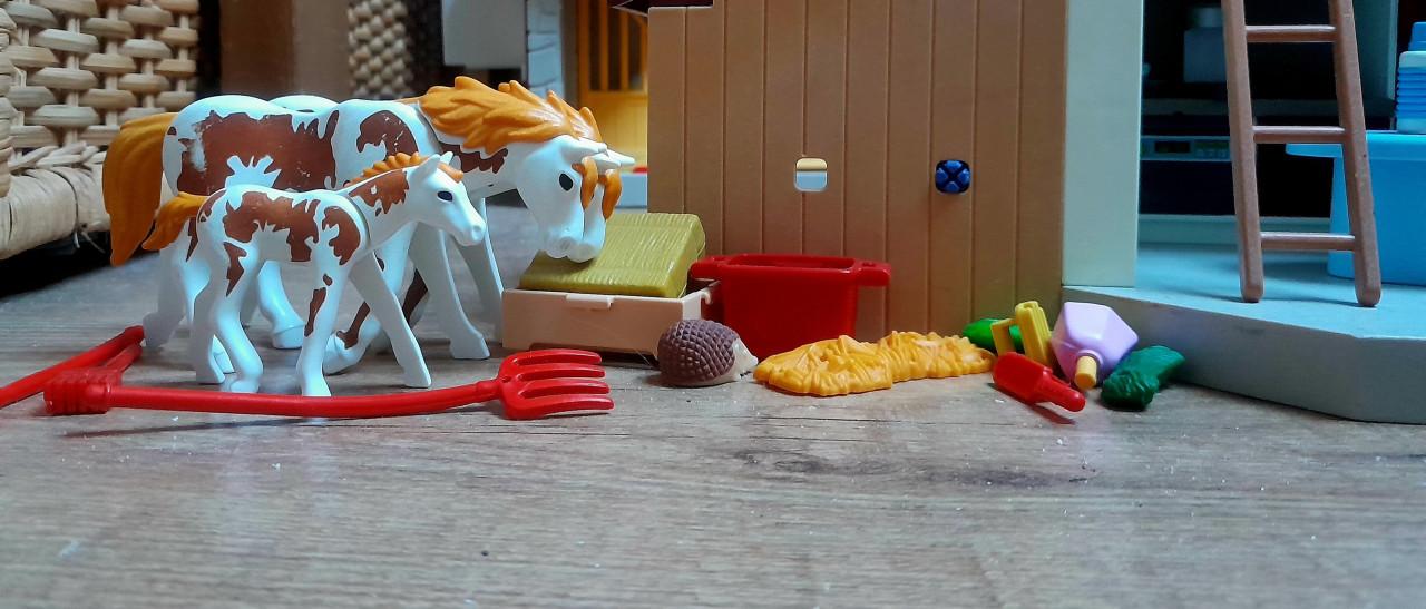 Play mobil boswachter huis etc