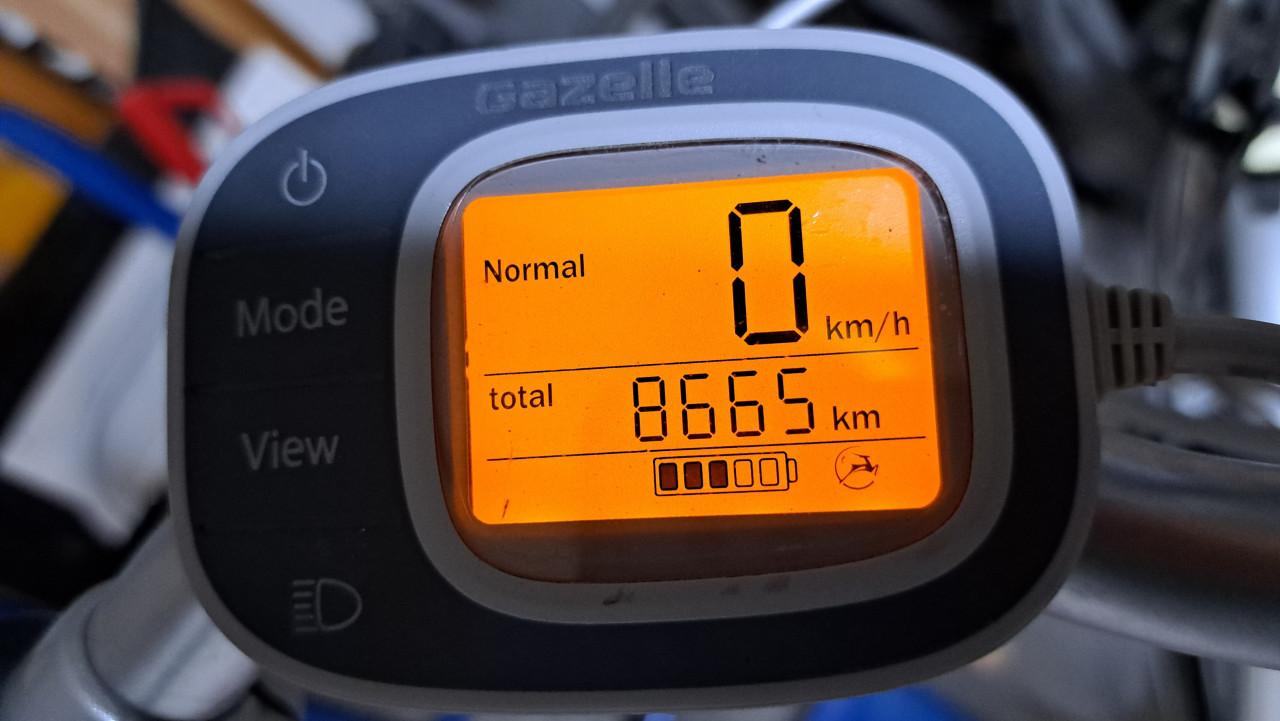 Gazelle Innergy XT elektrische fiets